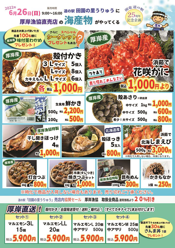 パンフレット 雨竜町 道の駅 北海道 限定 ささげ ご当地 商品